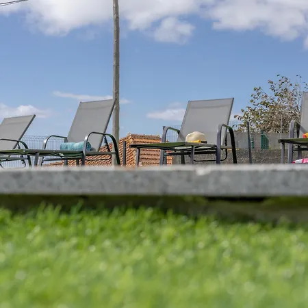 Maylily Seascape Willa *