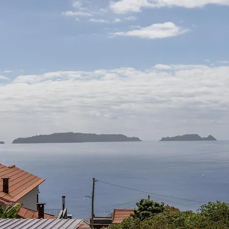 Maylily Seascape * Santa Cruz - Madeira